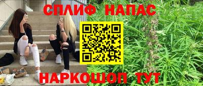 стаф Дубна