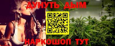 стаф Дубна