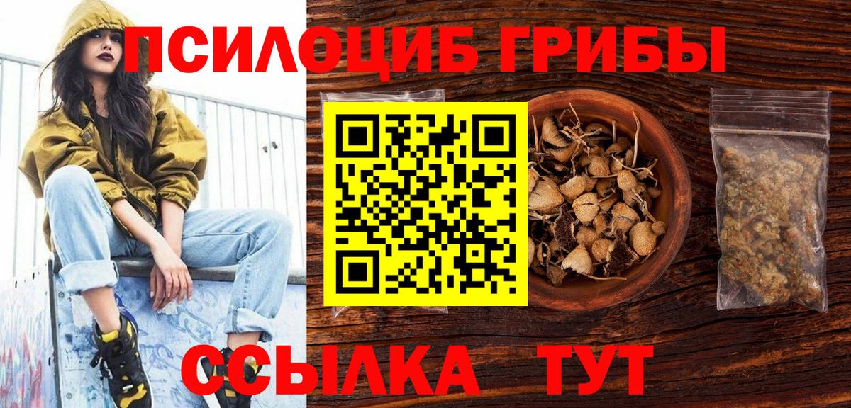 Псилоцибиновые грибы Psilocybine cubensis Бирск